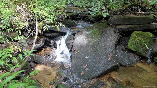 Lot 3 Steel Creek Road - Photo 1