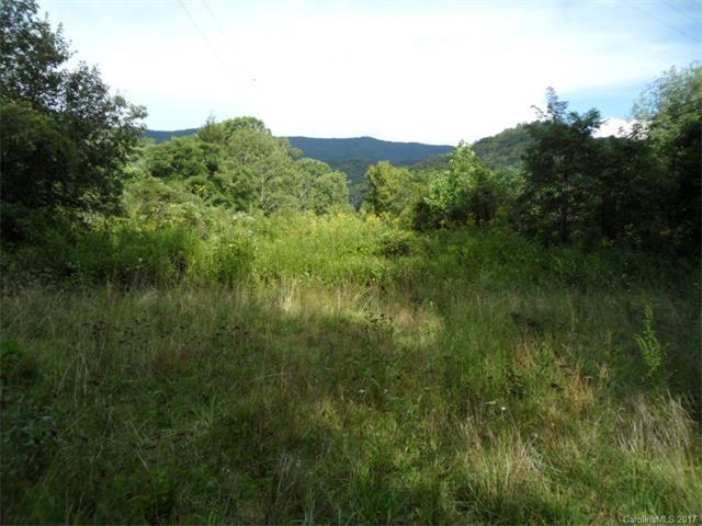 29.8 acres Crawford Cruso Road - Photo 1