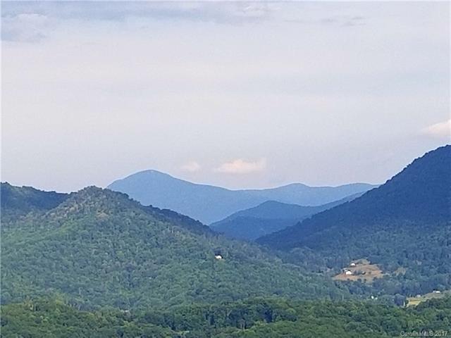 204.5 acres OFF Hall Top Road - Photo 1