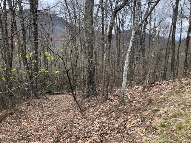 Lot 124 Ramp Patch Lane - Photo 1