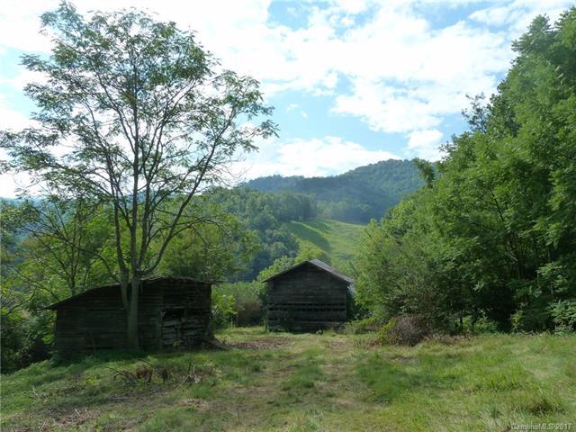 9999 Paint Fork Road - Photo 1