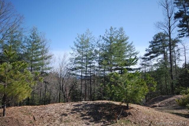 L2 Timber Trace - Photo 1