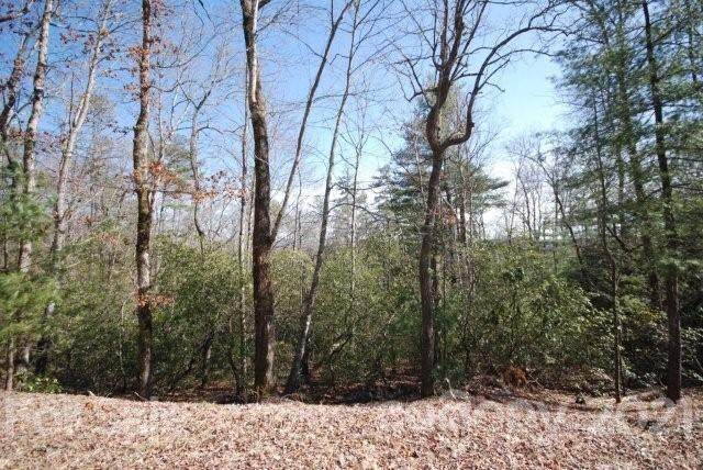 157 Springhouse Trail - Photo 1