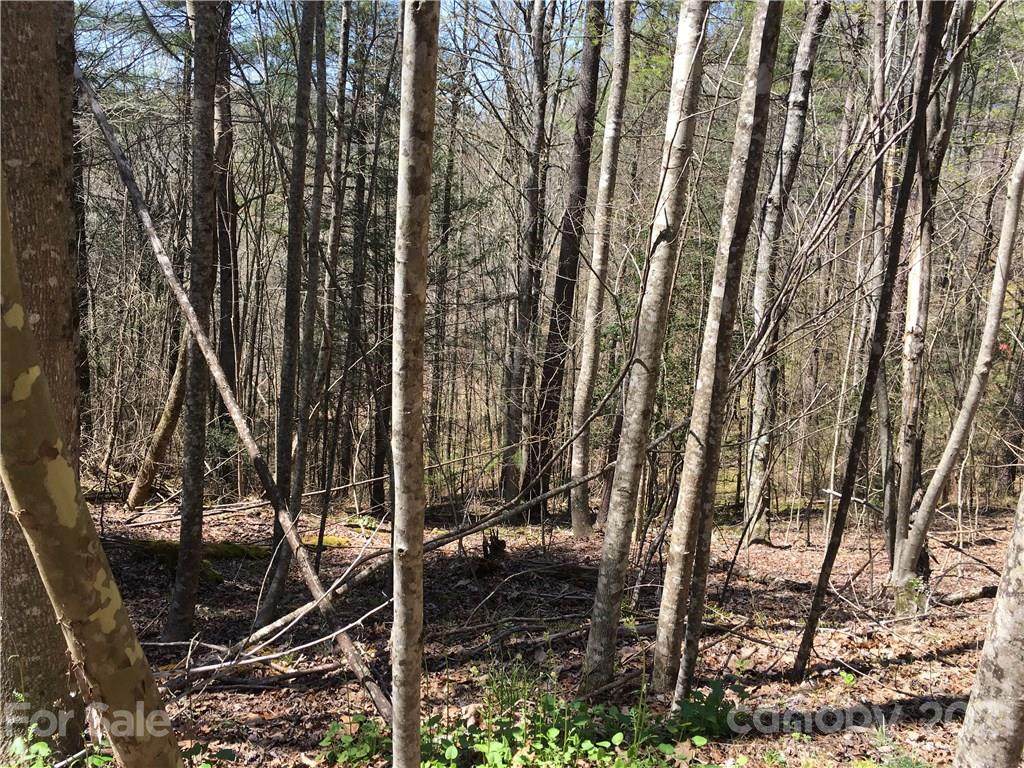 0 Deep Gap Road - Photo 1