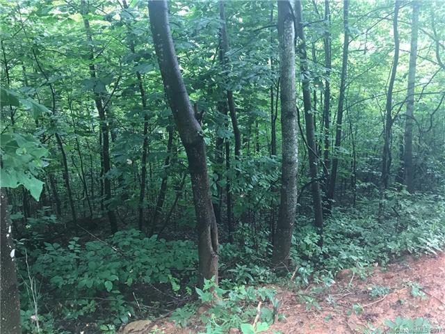 000 Bald Eagle Drive - Photo 1