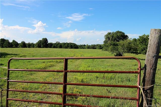 9 Acres Charlotte Highway - Photo 1