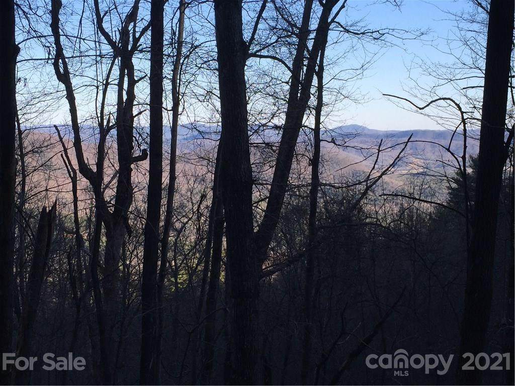 6025 Buffalo Mountain Road - Photo 1