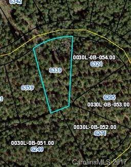 6339 Chimney Bluff Road - Photo 1