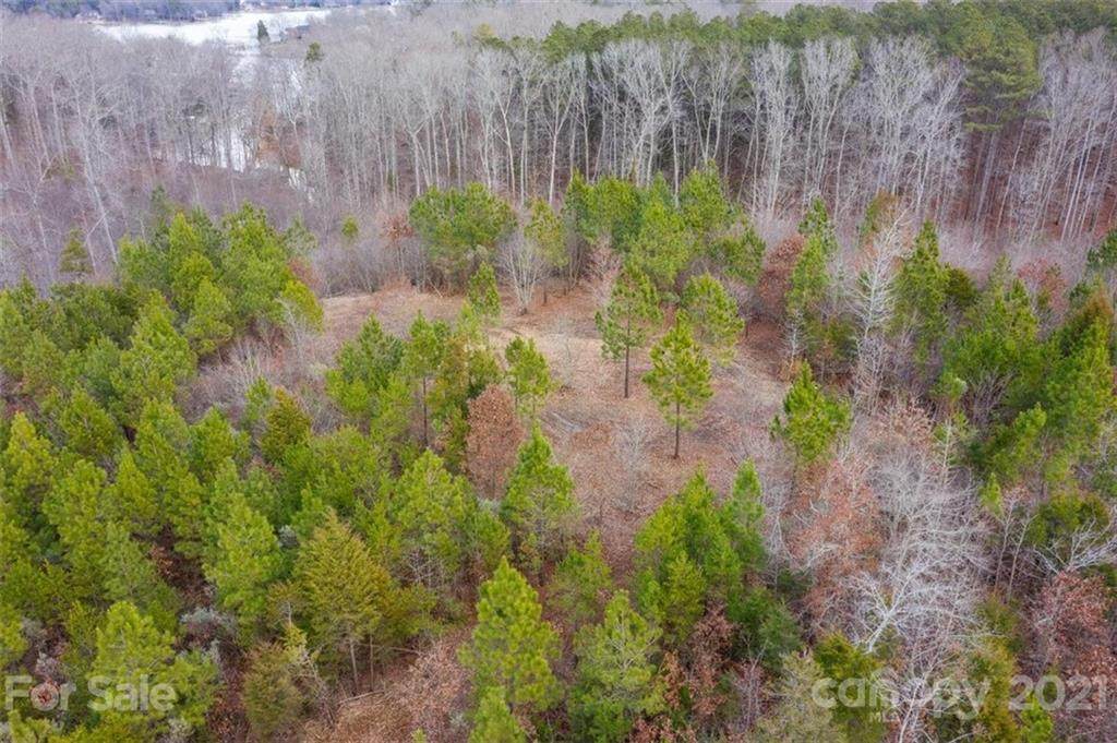 13.95 acres Mount Gallant Road - Photo 1