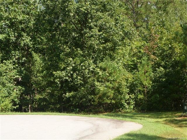 Lot 75 Lakeside Trail - Photo 1