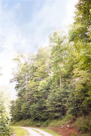 Lot 122 Caddis Trail - Photo 1