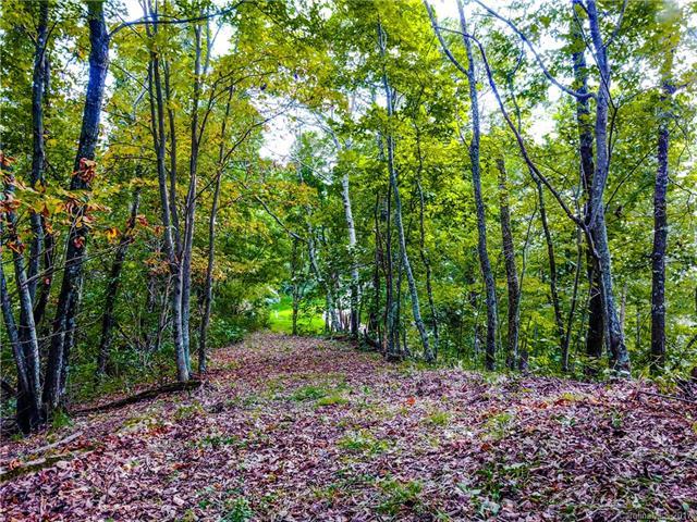 Lot 28 Locust Ridge - Photo 1