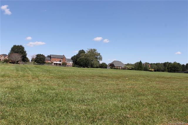 Lot 40 Doe Run Lane - Photo 1