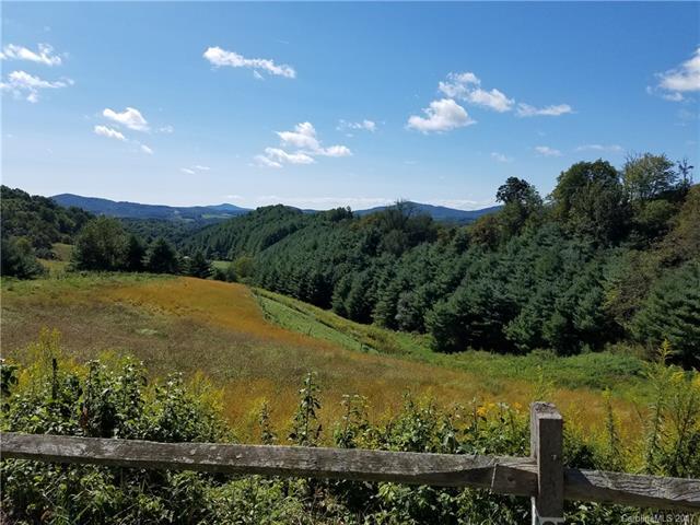 007 Laurel Highlands Drive - Photo 1