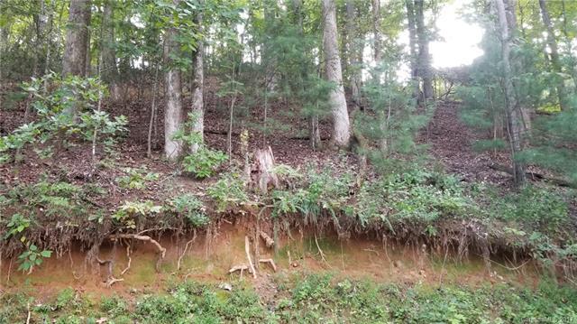 0 Blackberry Trail - Photo 1