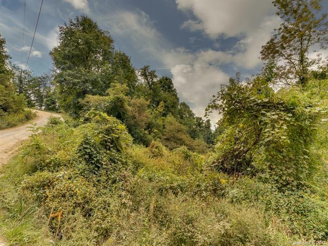 212 Bearwallow Trail - Photo 1