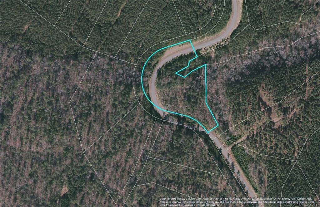LT 93 Riverbluff Lane - Photo 1