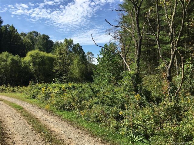000 Blueberry Drive - Photo 1