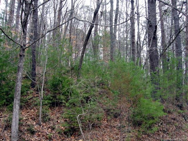 Lot #1 Cheoah View Road - Photo 1