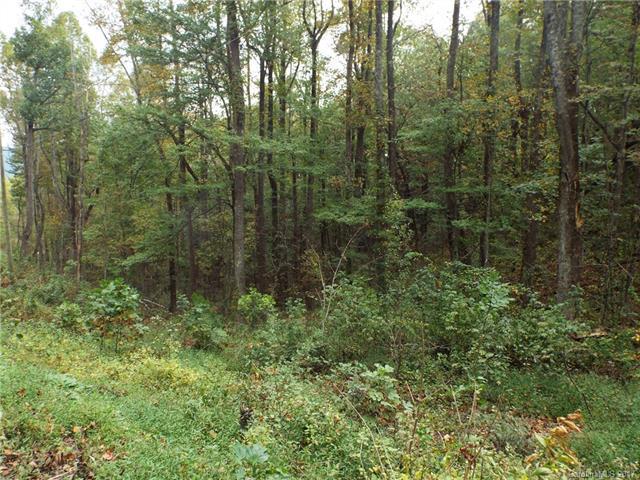 000 Bearwallow Mountain Road - Photo 1