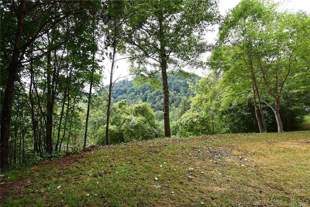 00 July Summer Lane - Photo 1