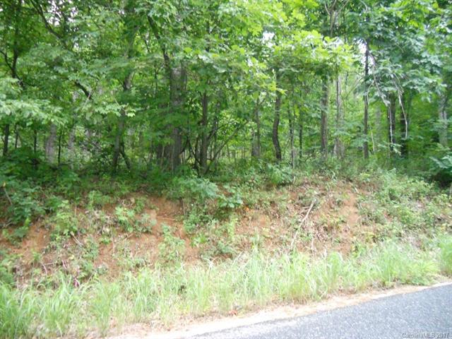 Lot 17 Skyuka Mountain Road - Photo 1