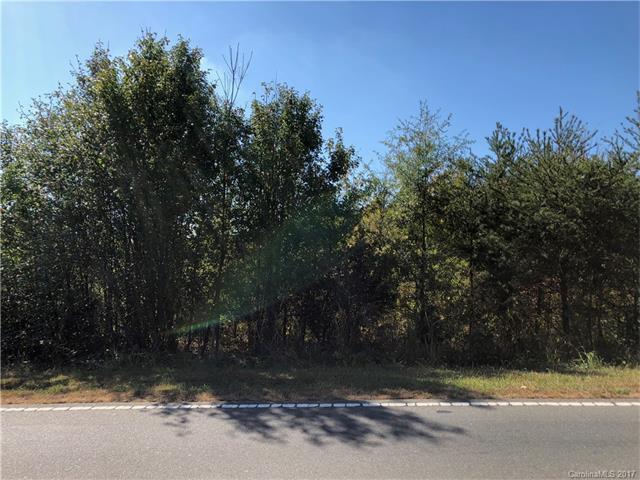 000 Old Beatty Ford Road - Photo 1