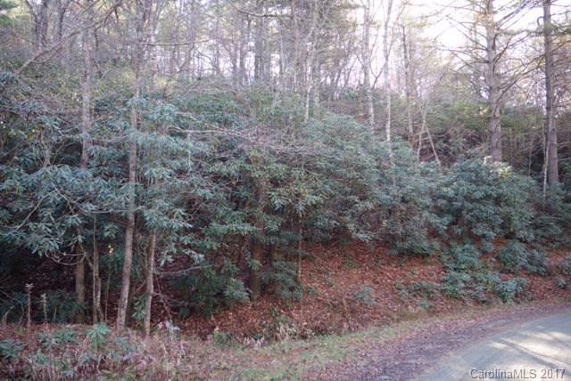 0 Gushers Knob Road - Photo 1