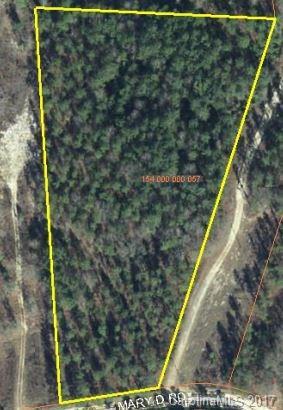 Lot 12 Mary D Road - Photo 1