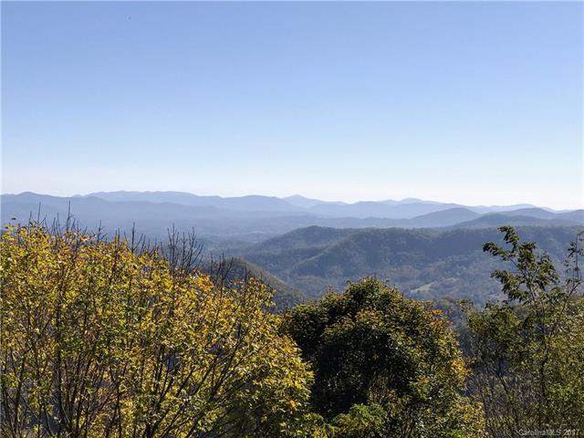 TBD Bearwallow Road - Photo 1
