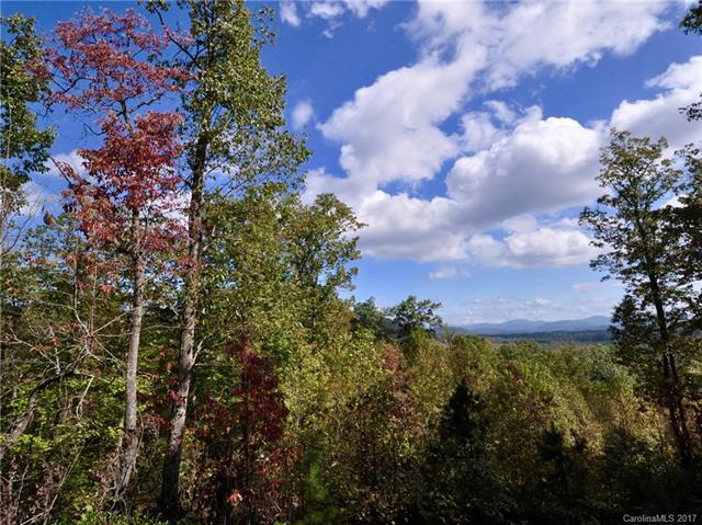 1907 Tree View Trail - Photo 1