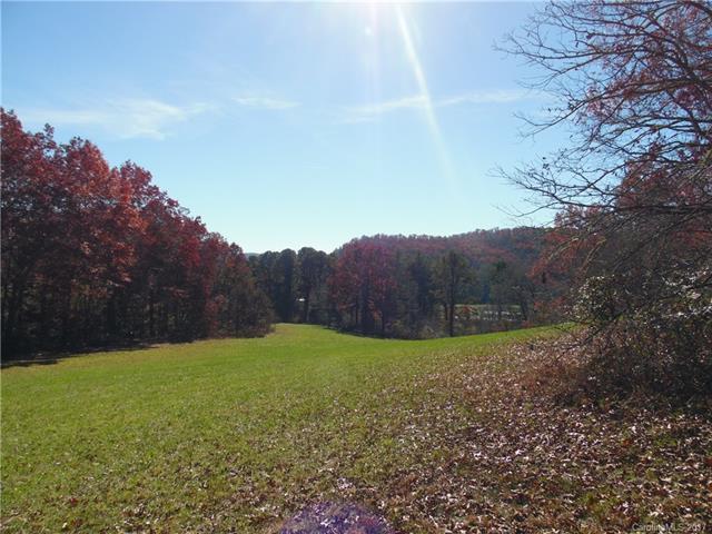 TBD Jason Mccall Cemetery Road - Photo 1