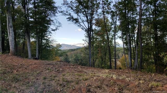 LOT 11 Cross Creek Trail - Photo 1