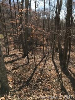 000 Mcdaris Loop Drive - Photo 1