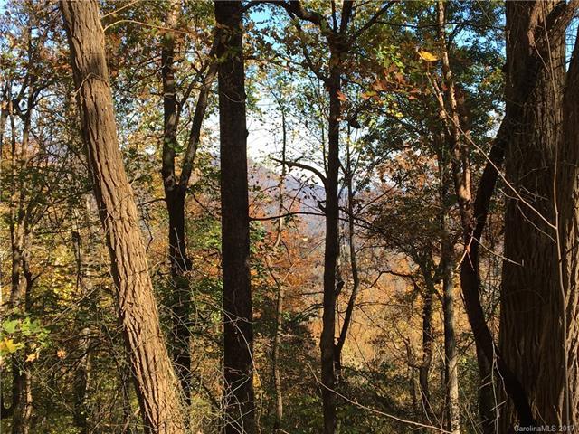 00 Hogback Mountain Road - Photo 1