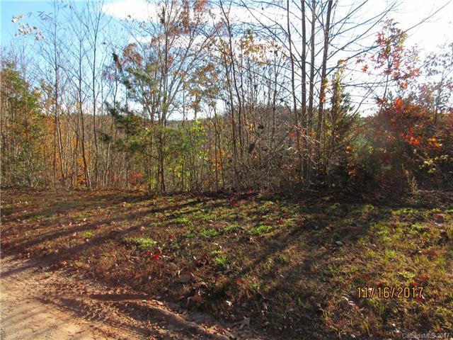 Lot 191 Sandpiper Avenue - Photo 1