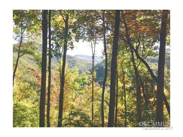 Lot 241 Down The Hill Road - Photo 1