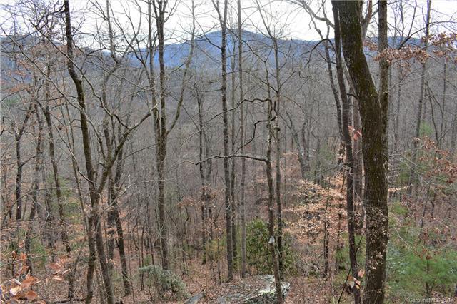 0 Hickory Hill Lane - Photo 1