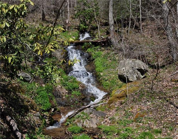 TBD Roaring Fork Road - Photo 1