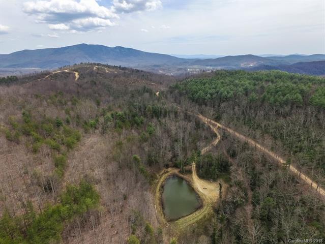 00 Old Little Switzerland Road - Photo 1