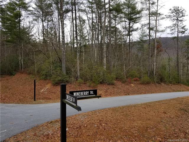 Lot-52 Wineberry Trail - Photo 1
