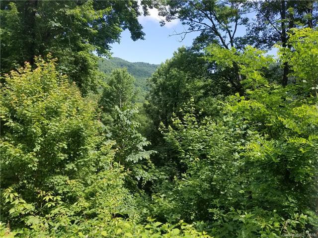 0 Brush Creek Mountain Road - Photo 1
