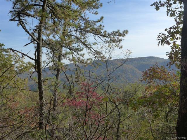3851 East Fork Road - Photo 1