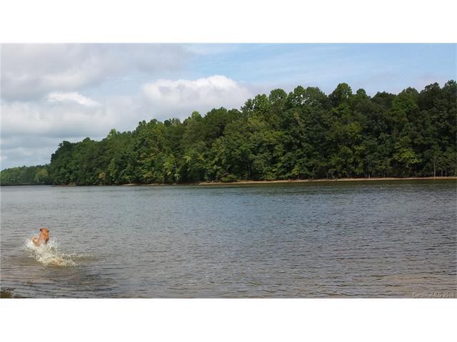 575 Pine Needle Trail - Photo 1