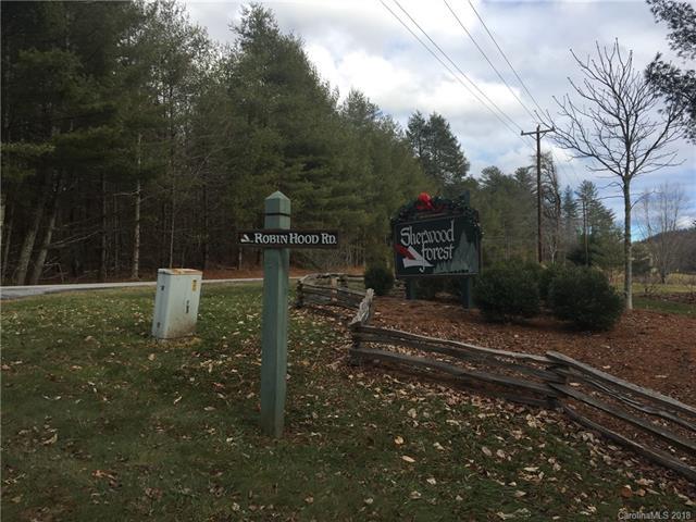 733 Robin Hood Road - Photo 1