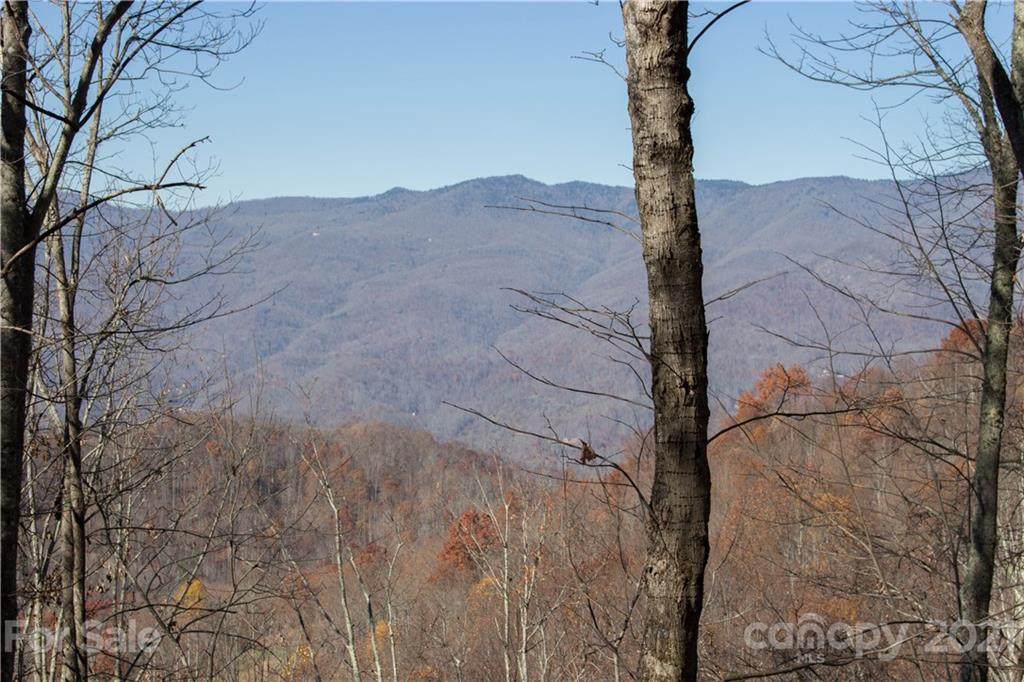 70 Old Growth Way - Photo 1