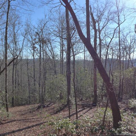 105 Green Hollow Lane - Photo 1
