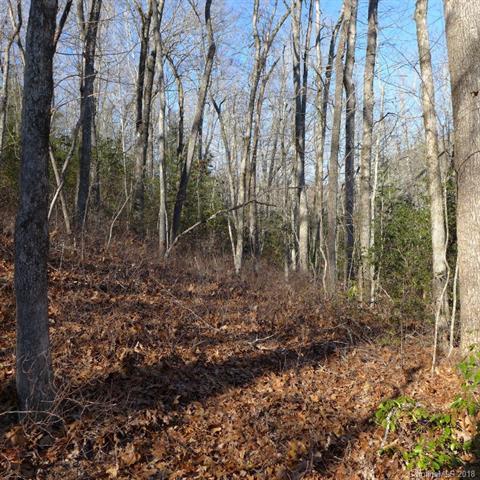 124 Green Hollow Lane - Photo 1