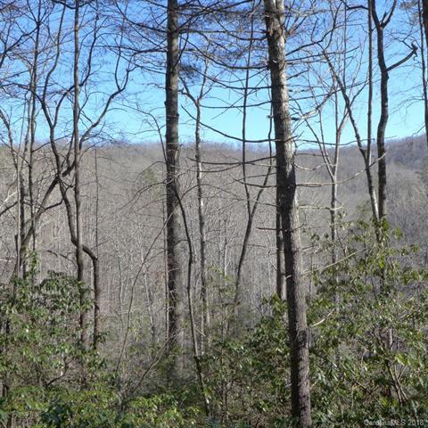 128 Twisted Tree Lane - Photo 1