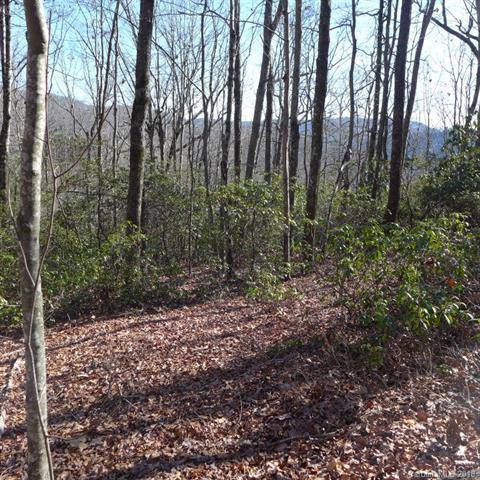 74D Lightning Path - Photo 1